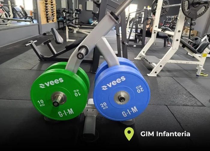 Discos VEES en GIM Infantería