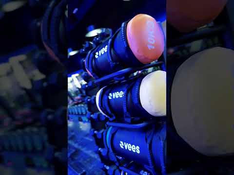 youtube - [Video]