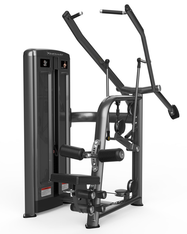 Dorsalera alta V-M248