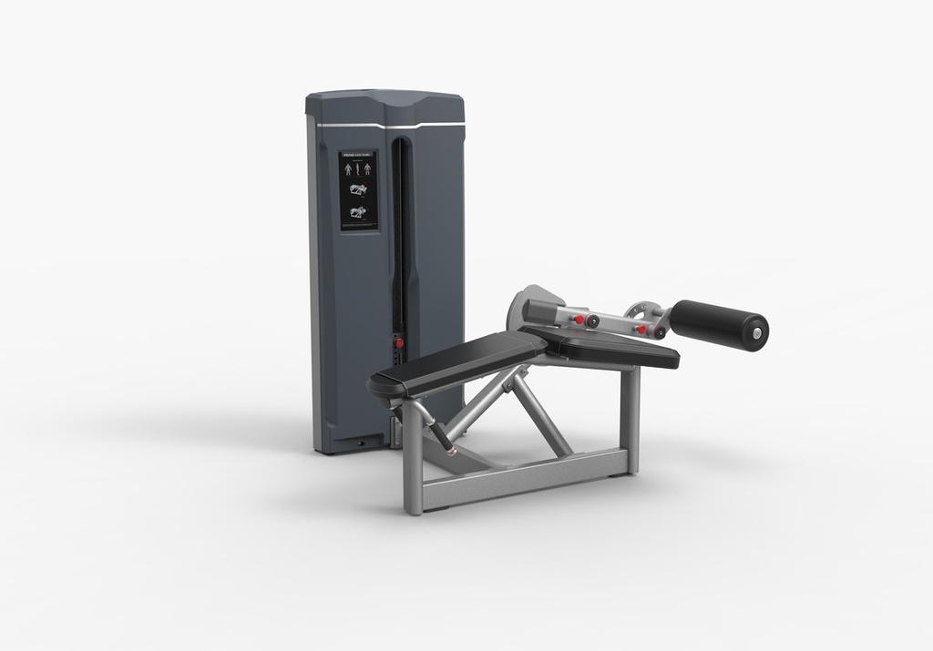 Camilla Femoral V-M324