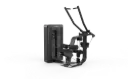 Dorsalera V-M066