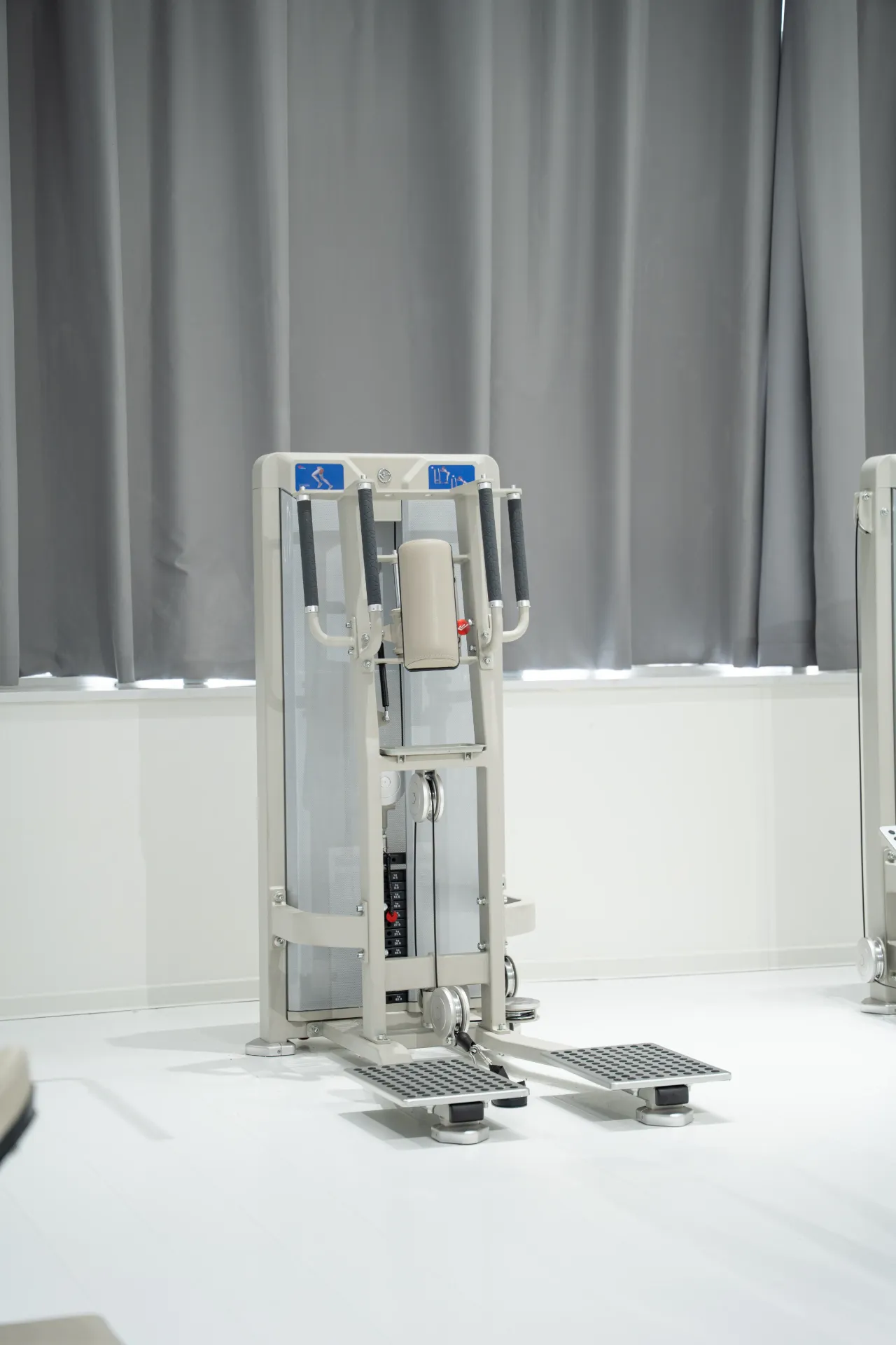 Maquina de Gluteos de Pie GL-1002