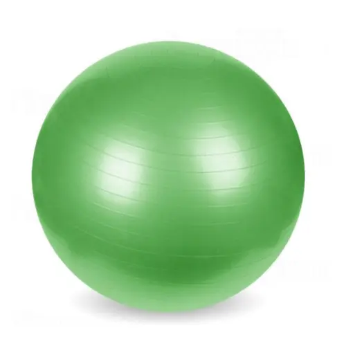 Pelota Esferodinamia 55Cm W-F119