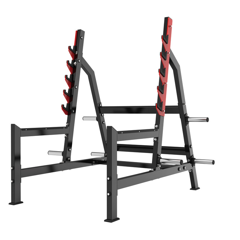 Rack de sentadillas V-B037