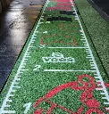 Alfombra de Entrenamiento Premium V-PF004