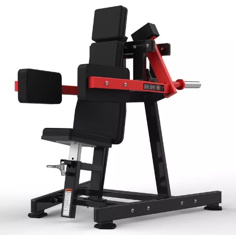 Vuelos Laterales RS-1016