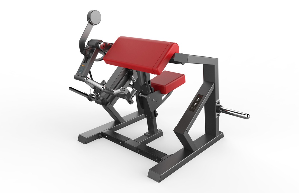 Hammer de Biceps V-H220