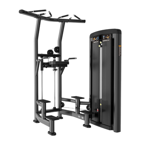 [V-M011] Fondos / Dominadas Asistidas V-M011