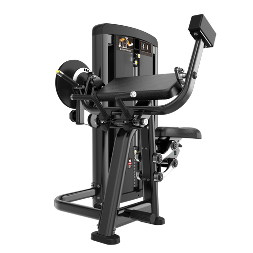 [V-M024] Biceps/Triceps V-M024