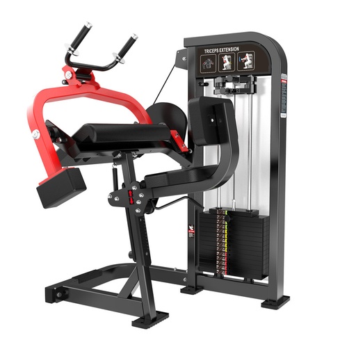 [V-M168] Maquina de triceps V-M168
