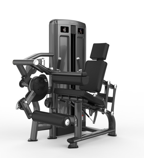 [V-M256] Sillon combinado cuadriceps y femorales V-M256