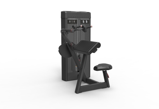 [V-M339] Tricep recto V-M339