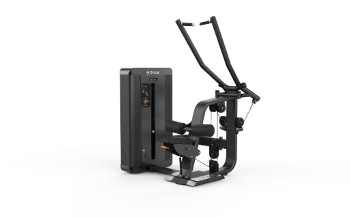 [V-M066] Dorsalera V-M066